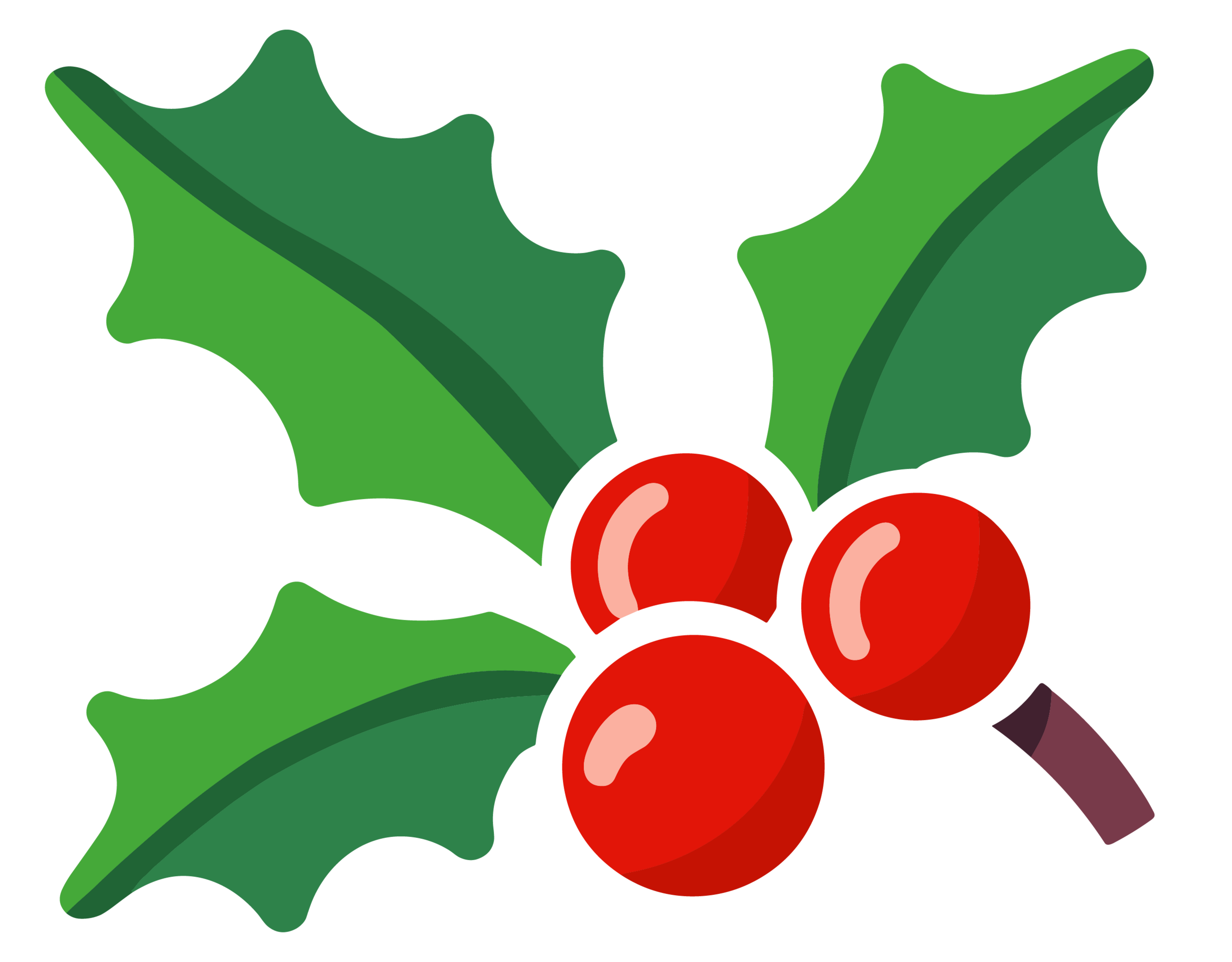 Holly Leaf