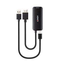 HDMI to USB Type C Converter with USB Power